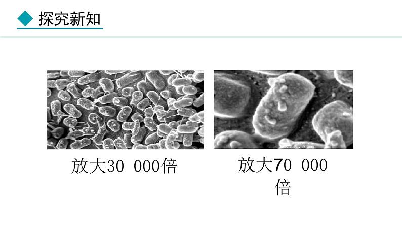 2024人教版生物七年级上册第二单元多种多样的生物第三章微生物2.3.2细菌教学课件ppt第6页