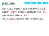 2024人教版生物七年级上册第一单元生物和细胞第二章认识细胞1.2.3　动物细胞 习题课件ppt