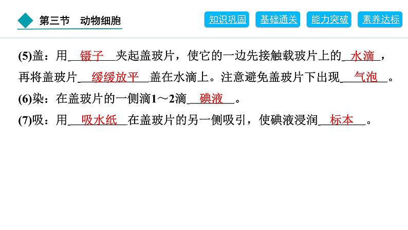 2024人教版生物七年级上册第一单元生物和细胞第二章认识细胞1.2.3　动物细胞 习题课件ppt第3页