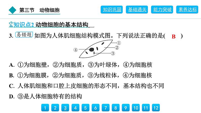 2024人教版生物七年级上册第一单元生物和细胞第二章认识细胞1.2.3　动物细胞 习题课件ppt第7页