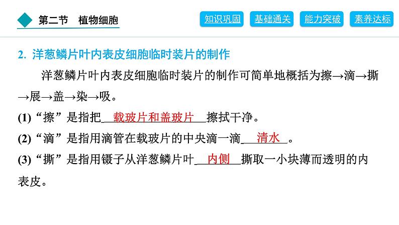 2024人教版生物七年级上册第一单元生物和细胞第二章认识细胞1.2.2　植物细胞 习题课件ppt第3页