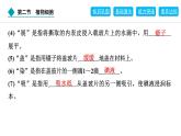 2024人教版生物七年级上册第一单元生物和细胞第二章认识细胞1.2.2　植物细胞 习题课件ppt