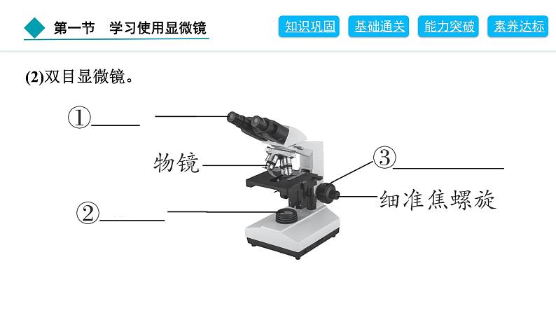 2024人教版生物七年级上册第一单元生物和细胞第二章认识细胞1.2.1　学习使用显微镜 习题课件ppt第3页