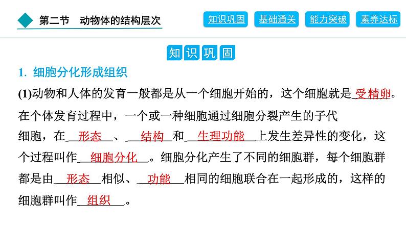 2024人教版生物七年级上册第一单元生物和细胞第三章从细胞到生物体1.3.2　动物体的结构层次 习题课件ppt第2页