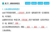 2024人教版生物七年级上册第一单元生物和细胞第三章从细胞到生物体1.3.2　动物体的结构层次 习题课件ppt