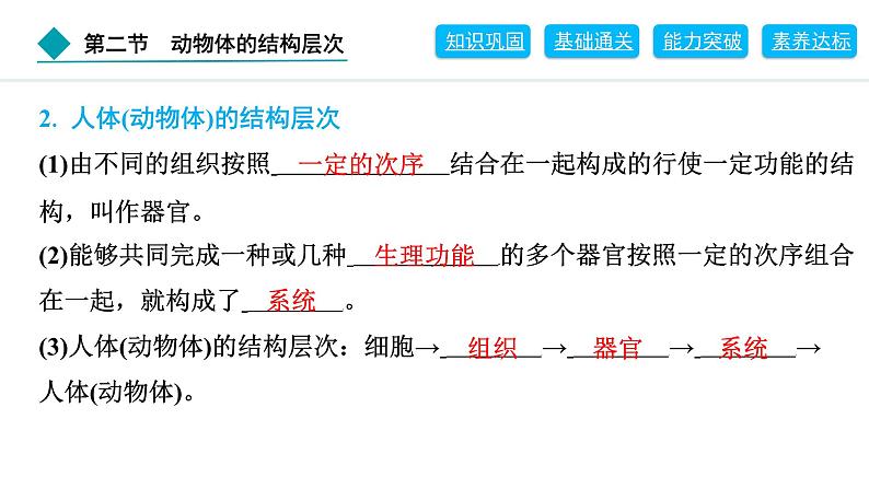 2024人教版生物七年级上册第一单元生物和细胞第三章从细胞到生物体1.3.2　动物体的结构层次 习题课件ppt第5页