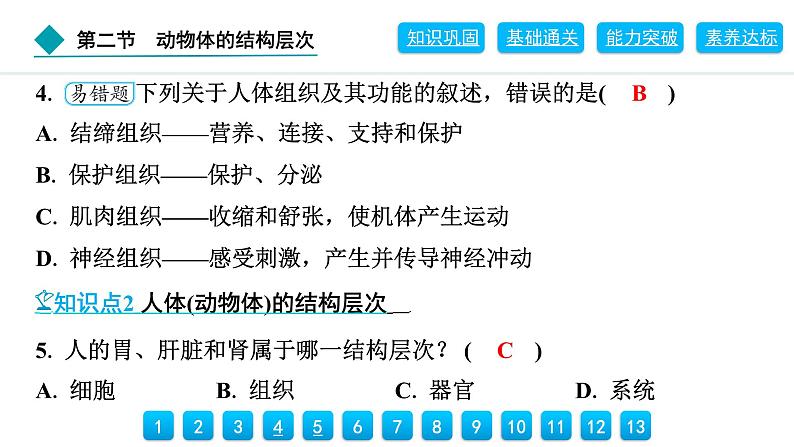 2024人教版生物七年级上册第一单元生物和细胞第三章从细胞到生物体1.3.2　动物体的结构层次 习题课件ppt第8页