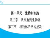 2024人教版生物七年级上册第一单元生物和细胞第三章从细胞到生物体1.3.3　植物体的结构层次 习题课件ppt