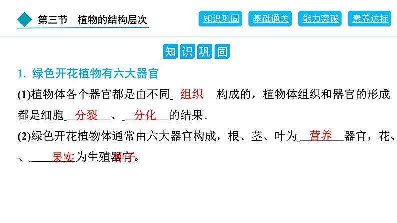 2024人教版生物七年级上册第一单元生物和细胞第三章从细胞到生物体1.3.3　植物体的结构层次 习题课件ppt第2页