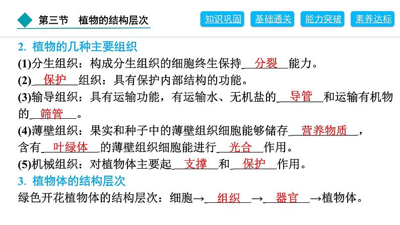 2024人教版生物七年级上册第一单元生物和细胞第三章从细胞到生物体1.3.3　植物体的结构层次 习题课件ppt第3页