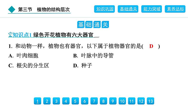 2024人教版生物七年级上册第一单元生物和细胞第三章从细胞到生物体1.3.3　植物体的结构层次 习题课件ppt第4页