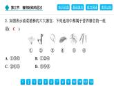 2024人教版生物七年级上册第一单元生物和细胞第三章从细胞到生物体1.3.3　植物体的结构层次 习题课件ppt