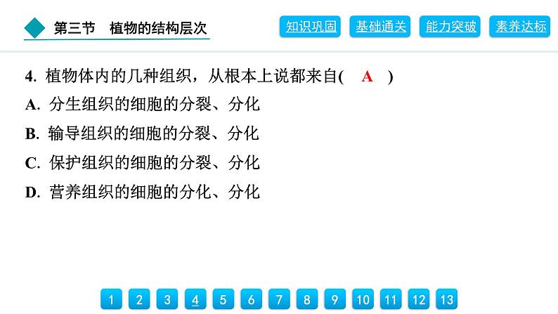 2024人教版生物七年级上册第一单元生物和细胞第三章从细胞到生物体1.3.3　植物体的结构层次 习题课件ppt第7页