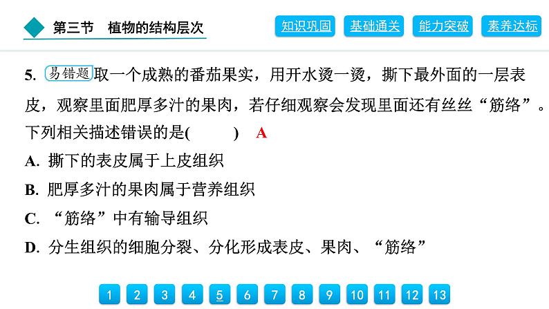 2024人教版生物七年级上册第一单元生物和细胞第三章从细胞到生物体1.3.3　植物体的结构层次 习题课件ppt第8页