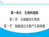 2024人教版生物七年级上册第一单元生物和细胞第三章从细胞到生物体1.3.1　细胞通过分裂产生新细胞 习题课件ppt