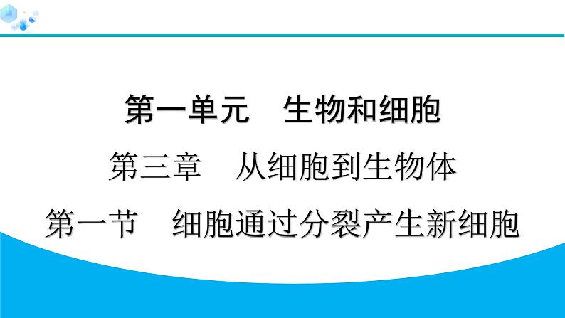 2024人教版生物七年级上册第一单元生物和细胞第三章从细胞到生物体1.3.1　细胞通过分裂产生新细胞 习题课件ppt第1页