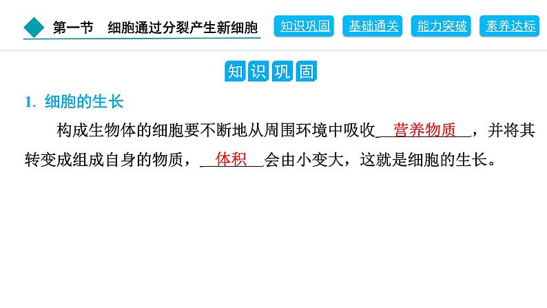 2024人教版生物七年级上册第一单元生物和细胞第三章从细胞到生物体1.3.1　细胞通过分裂产生新细胞 习题课件ppt第2页