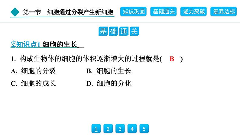 2024人教版生物七年级上册第一单元生物和细胞第三章从细胞到生物体1.3.1　细胞通过分裂产生新细胞 习题课件ppt第4页