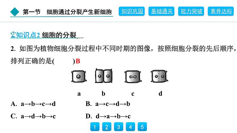 2024人教版生物七年级上册第一单元生物和细胞第三章从细胞到生物体1.3.1　细胞通过分裂产生新细胞 习题课件ppt第5页