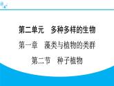 2024人教版生物七年级上册第二单元多种多样的生物第一章藻类与植物的类群2.1.2　种子植物 习题课件ppt