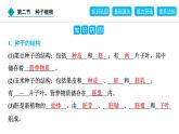 2024人教版生物七年级上册第二单元多种多样的生物第一章藻类与植物的类群2.1.2　种子植物 习题课件ppt