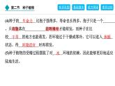 2024人教版生物七年级上册第二单元多种多样的生物第一章藻类与植物的类群2.1.2　种子植物 习题课件ppt