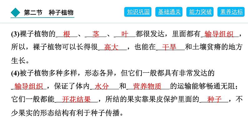 2024人教版生物七年级上册第二单元多种多样的生物第一章藻类与植物的类群2.1.2　种子植物 习题课件ppt第5页