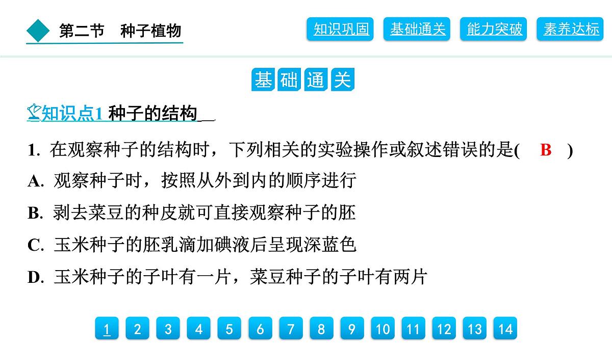 2024人教版生物七年级上册第二单元多种多样的生物第一章藻类与植物的类群2.1.2　种子植物 习题课件ppt第6页
