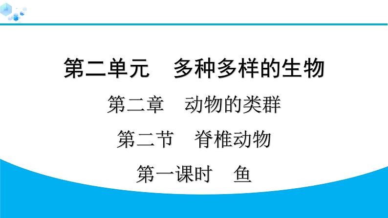 2024人教版生物七年级上册第二单元多种多样的生物第二章动物的类群2.2.2　第1课时　鱼 习题课件ppt第1页