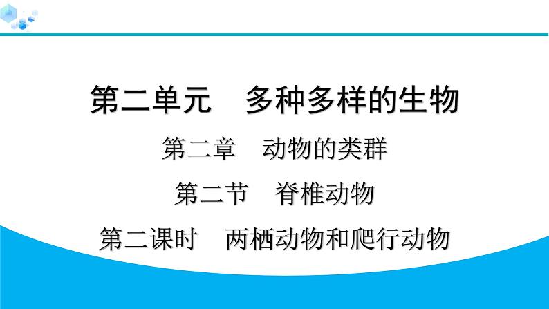 2024人教版生物七年级上册第二单元多种多样的生物第二章动物的类群2.2.2　第2课时　两栖动物和爬行动物 习题课件ppt第1页