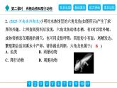 2024人教版生物七年级上册第二单元多种多样的生物第二章动物的类群2.2.2　第2课时　两栖动物和爬行动物 习题课件ppt