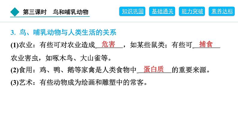 2024人教版生物七年级上册第二单元多种多样的生物第二章动物的类群2.2.2　第3课时　鸟和哺乳动物 习题课件ppt第3页