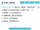 2024人教版生物七年级上册第二单元多种多样的生物第二章动物的类群2.2.2　第3课时　鸟和哺乳动物 习题课件ppt