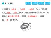 2024人教版生物七年级上册第二单元多种多样的生物第三章微生物2.3.2　细菌 习题课件ppt