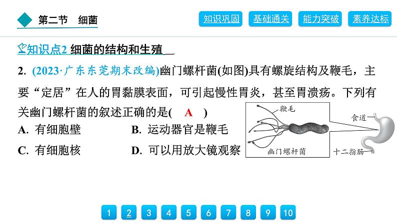 2024人教版生物七年级上册第二单元多种多样的生物第三章微生物2.3.2　细菌 习题课件ppt第7页