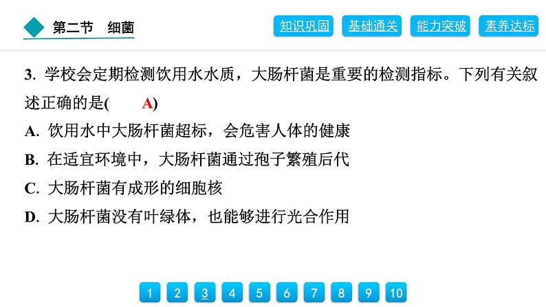 2024人教版生物七年级上册第二单元多种多样的生物第三章微生物2.3.2　细菌 习题课件ppt第8页