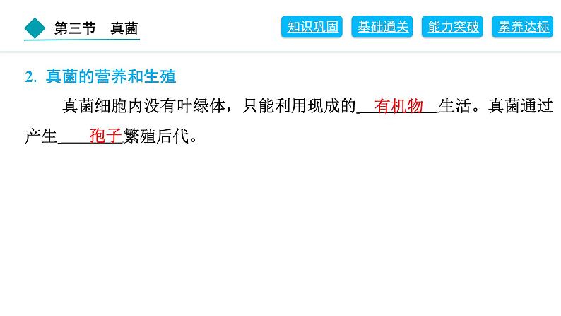 2024人教版生物七年级上册第二单元多种多样的生物第三章微生物2.3.3　真菌 习题课件ppt第4页