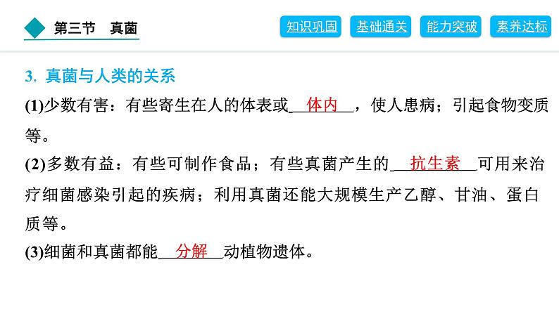 2024人教版生物七年级上册第二单元多种多样的生物第三章微生物2.3.3　真菌 习题课件ppt第5页