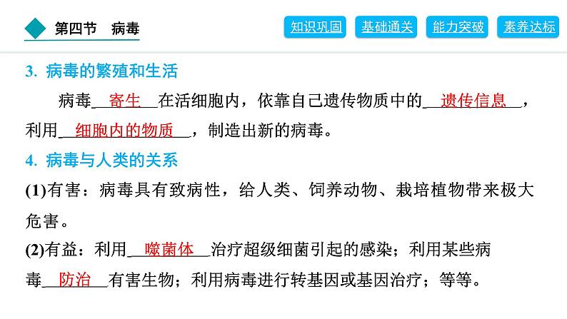 2024人教版生物七年级上册第二单元多种多样的生物第三章微生物2.3.4　病毒 习题课件ppt第3页