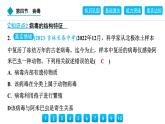 2024人教版生物七年级上册第二单元多种多样的生物第三章微生物2.3.4　病毒 习题课件ppt