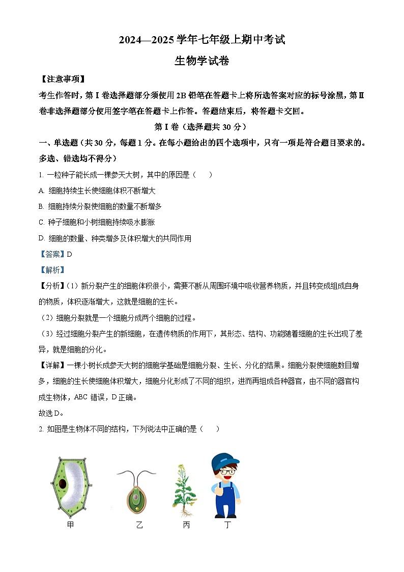 四川省自贡市富顺第二中学校2024-2025学年七年级上学期期中生物学试题（解析版）-A4第1页