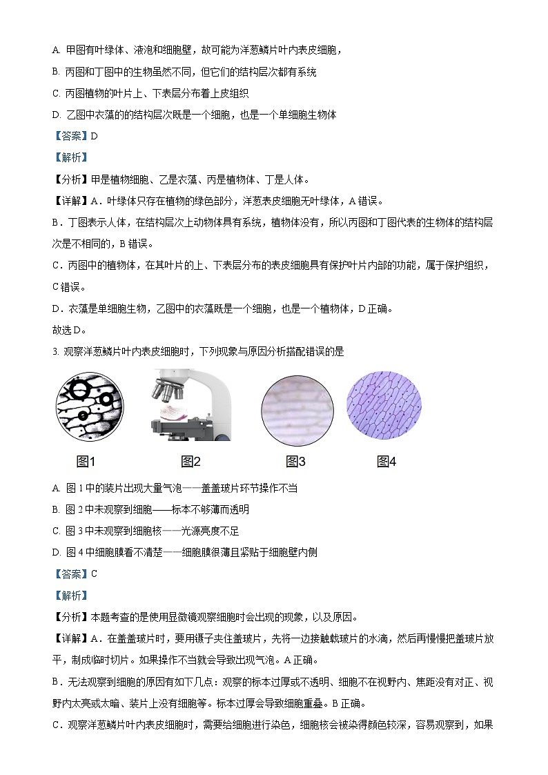 四川省自贡市富顺第二中学校2024-2025学年七年级上学期期中生物学试题（解析版）-A4第2页