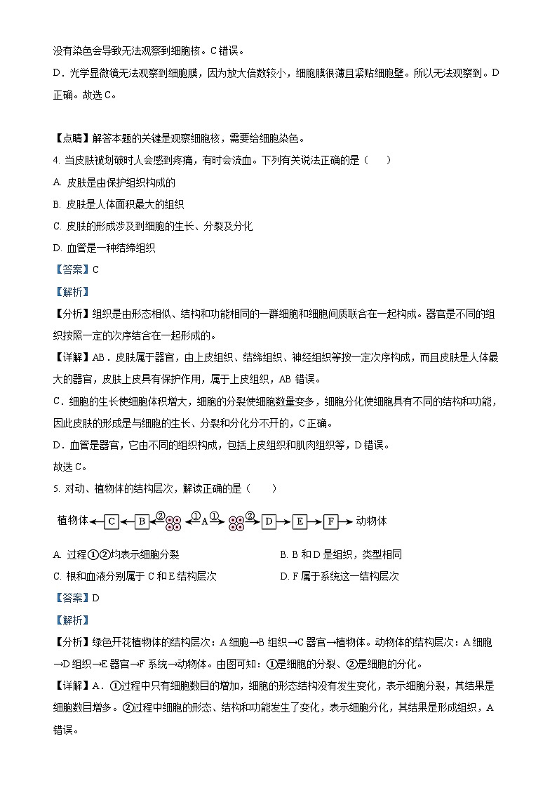 四川省自贡市富顺第二中学校2024-2025学年七年级上学期期中生物学试题（解析版）-A4第3页