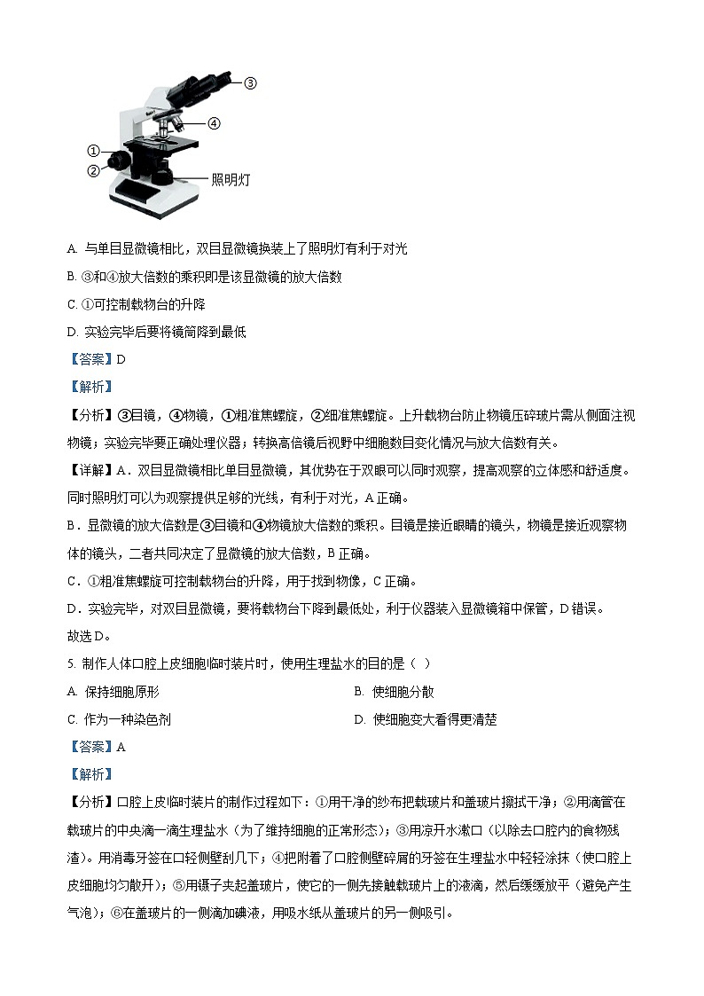 广西初中名校2024-2025学年七年级上学期期中生物试题（解析版）-A4第3页
