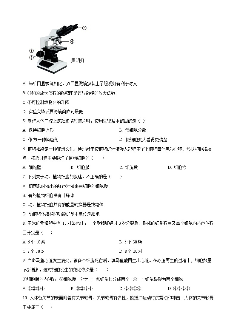 广西初中名校2024-2025学年七年级上学期期中生物试题（原卷版）-A4第2页