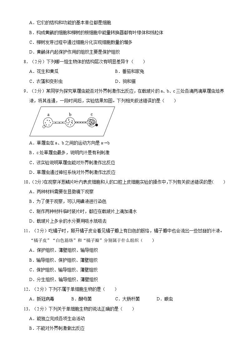 四川省南充市阆中中学2024-2025学年七年级上学期期中考试生物试卷-A4第2页