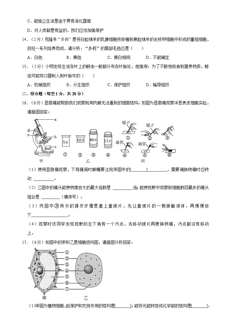 四川省南充市阆中中学2024-2025学年七年级上学期期中考试生物试卷-A4第3页