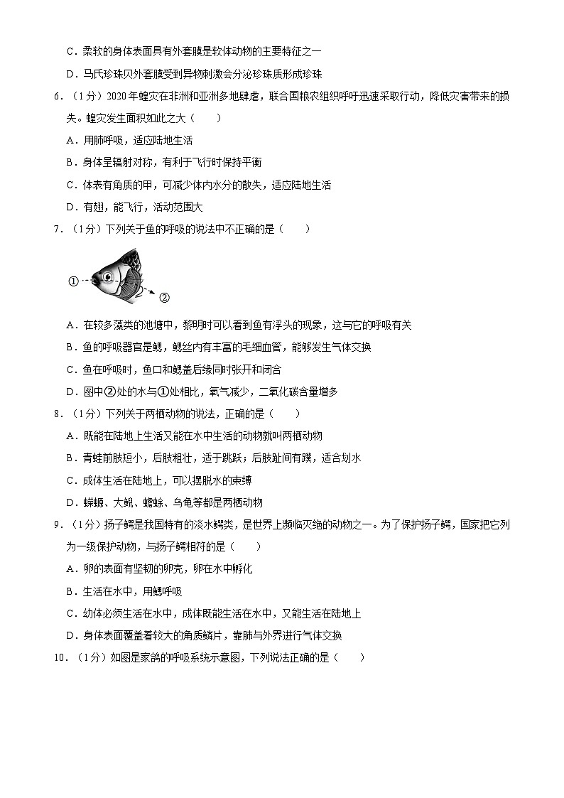 四川省南充市阆中中学2024-2025学年八年级上学期期中考试生物试卷-A4第2页