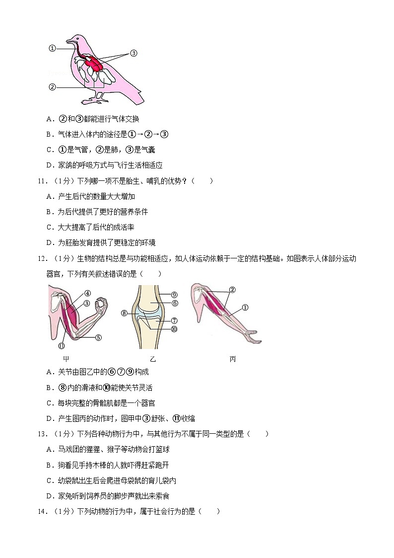 四川省南充市阆中中学2024-2025学年八年级上学期期中考试生物试卷-A4第3页