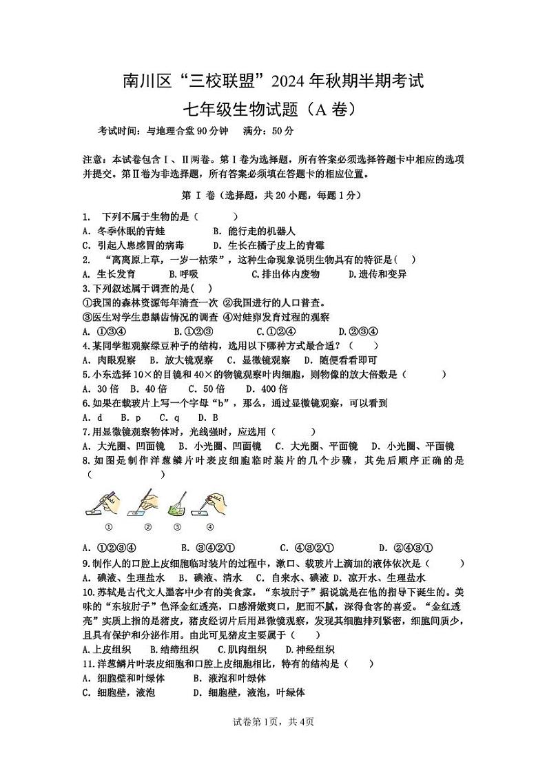 重庆市南川区三校联盟2024-2025学年七年级上学期期中考试生物试题（A卷）第1页